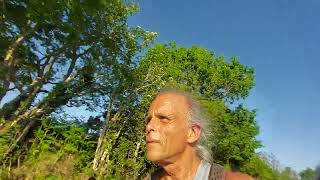 Bracken is god-given to country boys, errata men20260524 185645