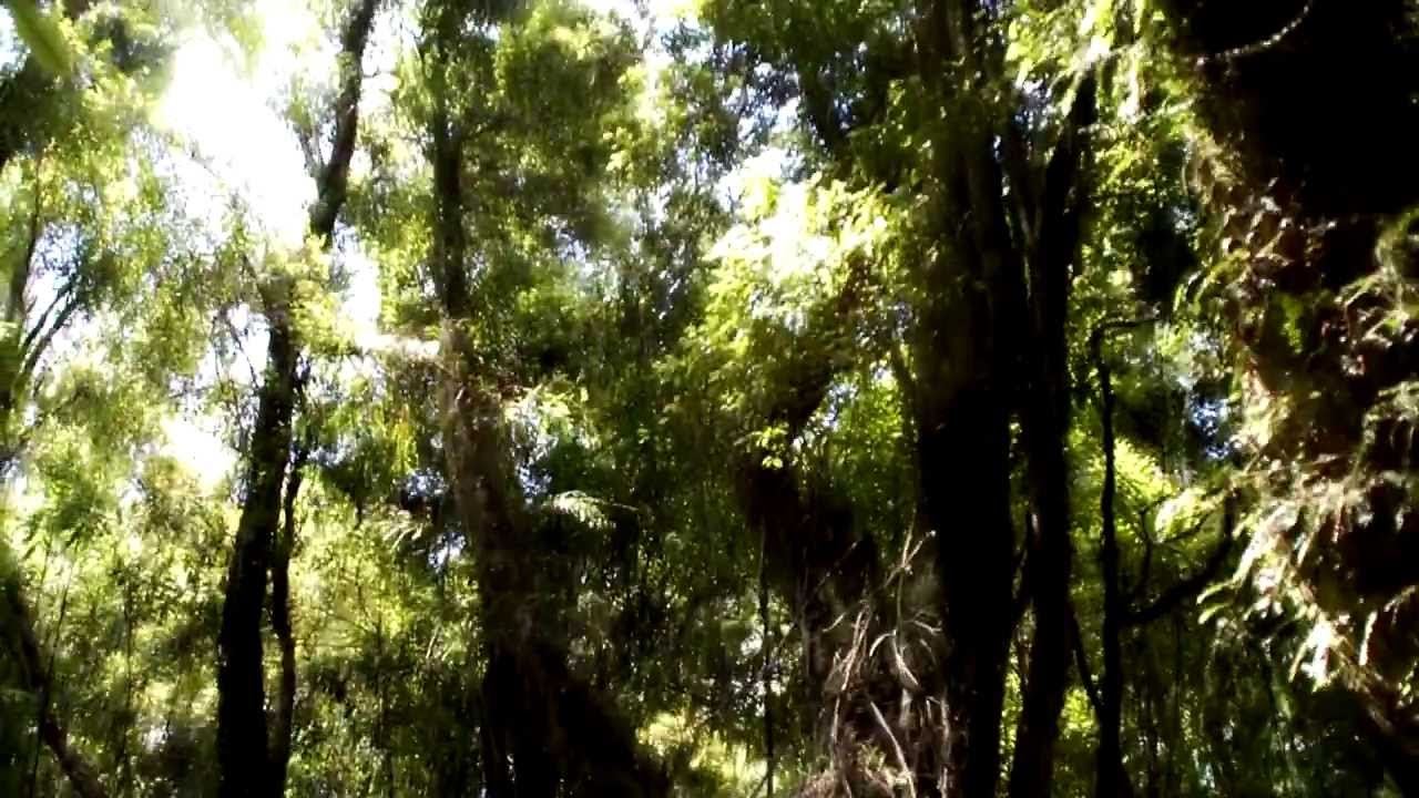 West Coast Journey Day 4 "Our Last Chance" YouTube