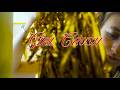 Noa Dear - GIRL CRUSH (Official Music Video)