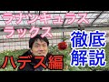 【園芸のぶチャンネル】ラックス徹底解説〜ハデス編【ガーデニング】【農業】【ラナンキュラス】【アリアドネ】
