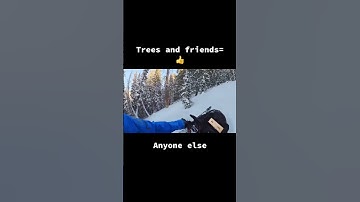 Snowmobiling and friends 👍#shorts #skidoo #polaris #snowmobile #backcountry #braap #sled #turbo #