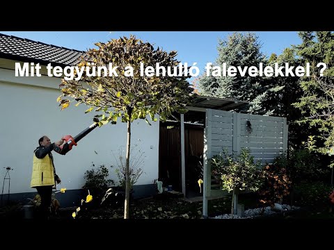 Videó: Kertészet ősszel