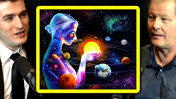 Meaning of life: An evolutionary computation perspective | Risto Miikkulainen and Lex Fridman