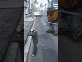 First Day on GTA 6 be like ! #shortsviral #gta #gtaglitch #gaming #firstpersonshooter #gtaonlinegta