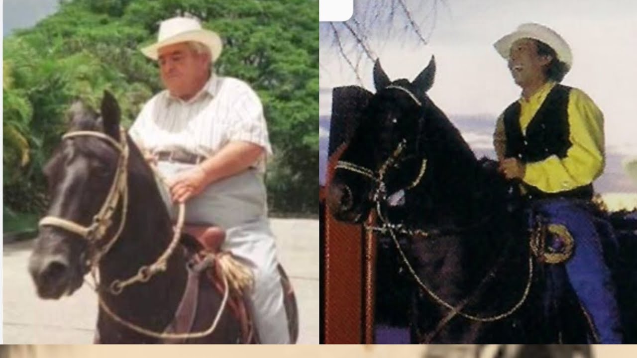 ¿ Fue Fabio Ochoa y Diomedes, los que ARRUINARON a Nabo Cogollo? 