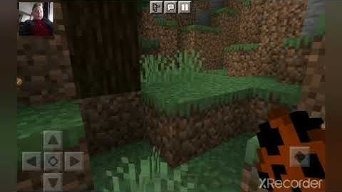 Exploding chickens|MINECRAFT#1|