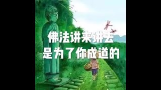 201805 佛法讲来讲去是为了你成道的25534