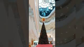 VISEU - PORTUGAL 🇵🇹 #shorts #portugal #viseu