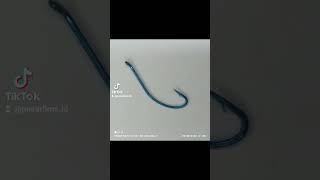 Download Lagu MAGIC CARBON series 1130BL  mata kail pancing MP3