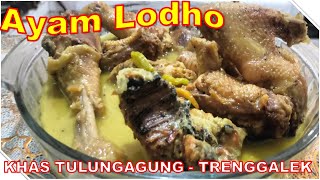 Ayam Lodho   II KHAS TULUNGAGUNG - TRENGGALEK II  #23