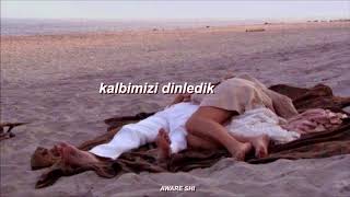 laurin hunter - follow the rules (türkçe çeviri)