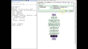 CPT 114 ski problem flow chart.