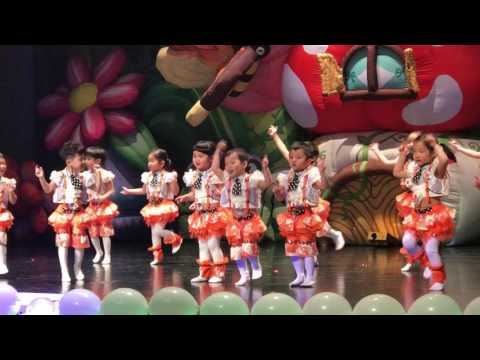 17년 5세 재롱잔치