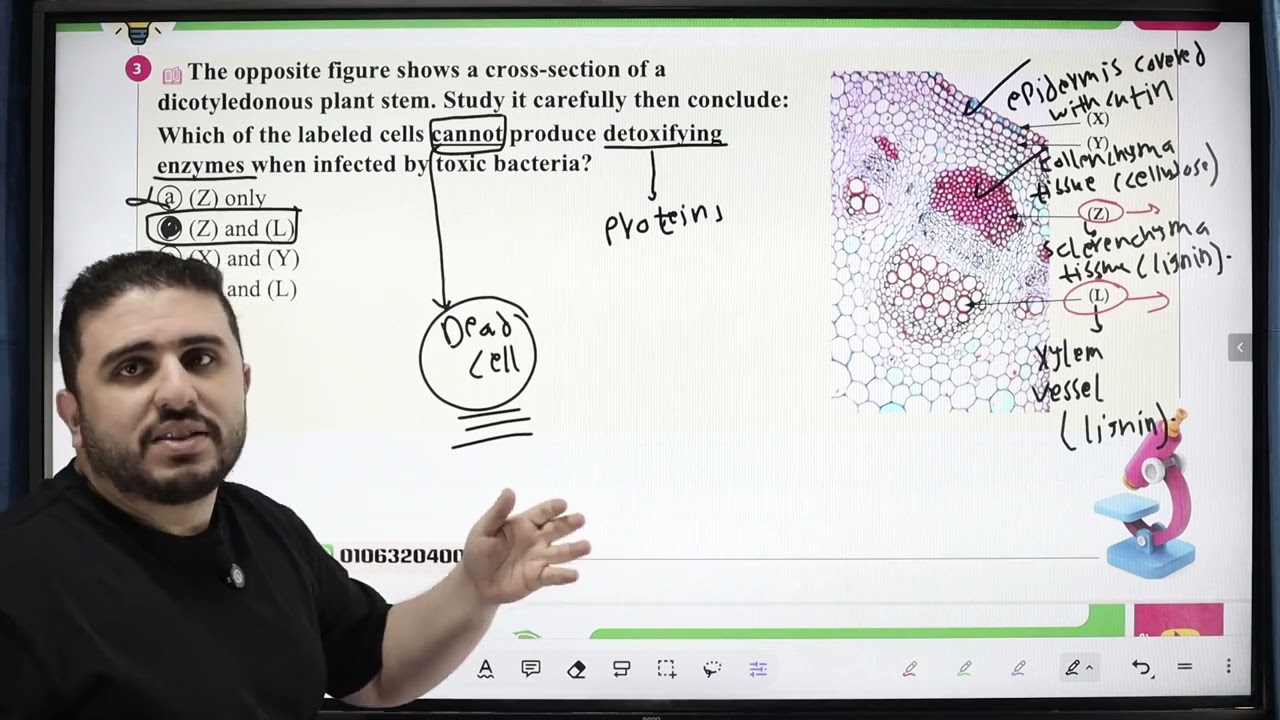 Solution of Eltafouk Biology Book Final Revision  General Exam  Model 10 Biology questions