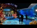 Zoo Tours Ep. 56: The Award Winning Wild Reef | Shedd Aquarium (60 FPS)