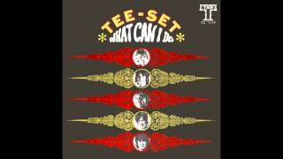 Video thumbnail of "TEE-SET - What Can I Do"