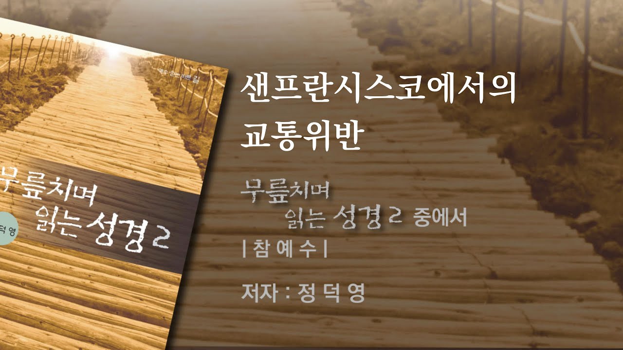 샌프란시스코에서의 교통위반
