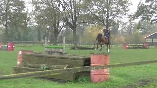 Lot 11 Igor Blue - Brightwells Elite Winter Collection Sale 3Rd December 2019