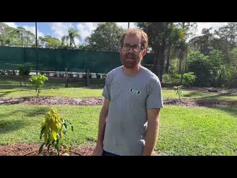 This Food Forest Is Going to Be Amazing