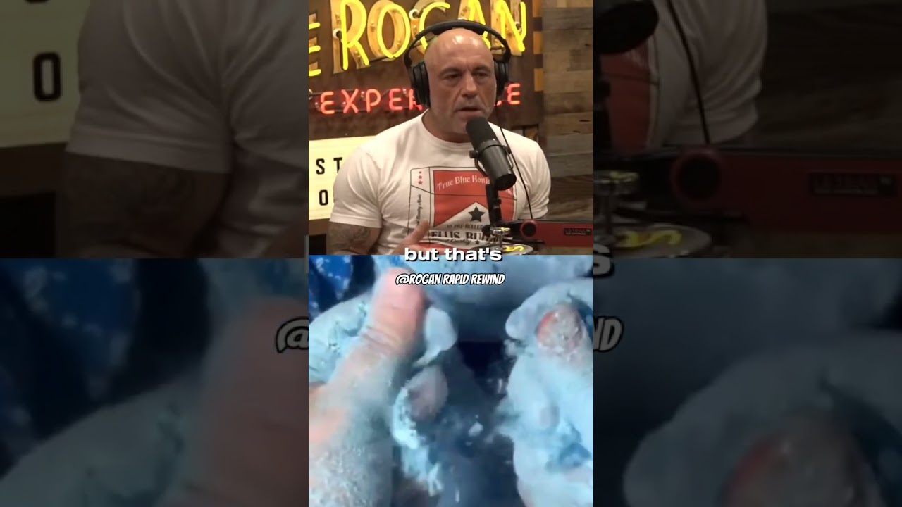 The climate history of earth is scary 😳 | Rogan Rapid Rewind | 