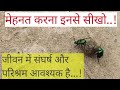 जीवन में संघर्ष और परिश्रम आवश्क है...!