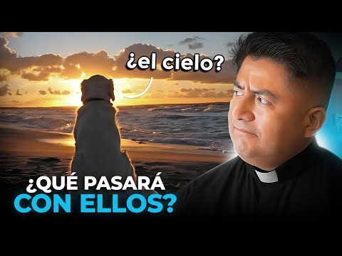 Do our pets go to heaven? The Catholic answer | The Hansultorio