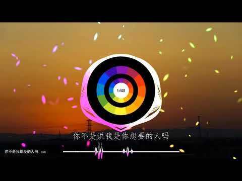 2021華語網絡流行音樂 ||《你不是我最愛的人嗎》|| 王韻 || 動態歌詞