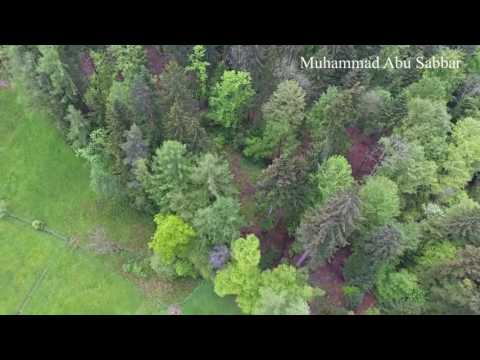 عبدالكريم عبدالقادر منين اجيك 