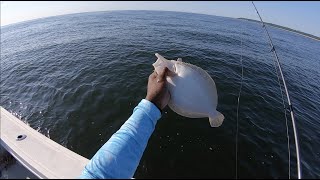 Fluke Fishing NJ But Only 1 Keeper...