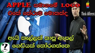 ඇපල් සමාගමේ Logo එකේ තේරුම දන්නවද? /The meaning of Apple logo (sinhala)