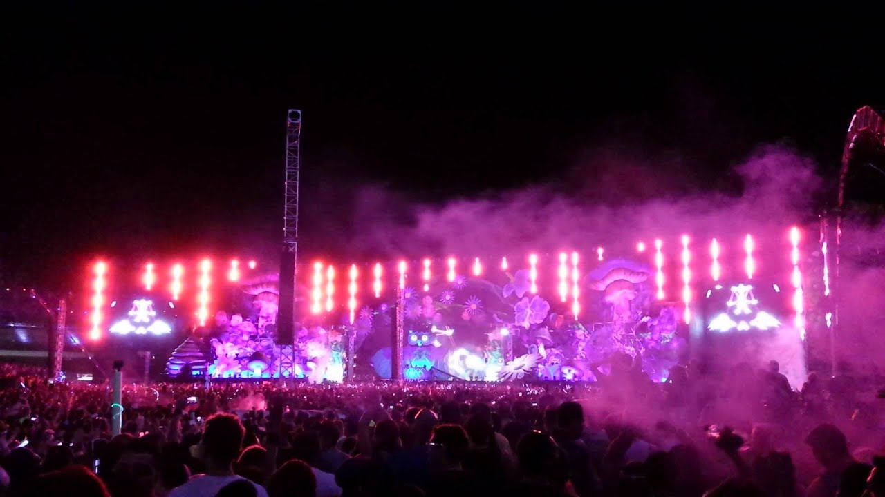 EDC2013 kineticFIELD
