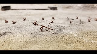 6mm D-Day project: How to make ramps and mined stakes beach obstacles