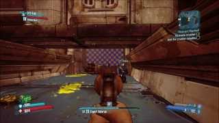 Borderlands 2 - Missing Texture from Matt's Perspective