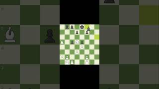 #chess king's pawn opening vs Queen's opening,kiddie countergambit