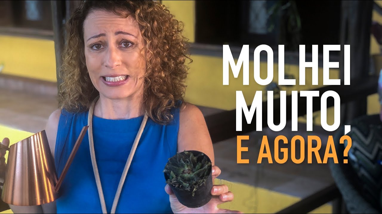 Como SALVAR PLANTA MOLHADA demais