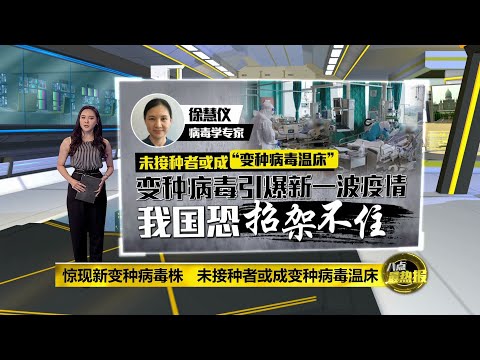 出现更危险变异株Lambda 专家：未接种者或成“变种病毒温床” | 八点最热报 06/07/2021