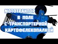 Мототрактор Силач в работе с транспортерной картофелекопалкой! Видео от подписчика!