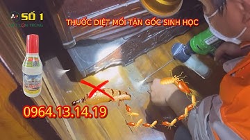 THUỐC DIỆT MỐI TẬN GỐC SINH HỌC | DIỆT MỐI TẠI NHÀ