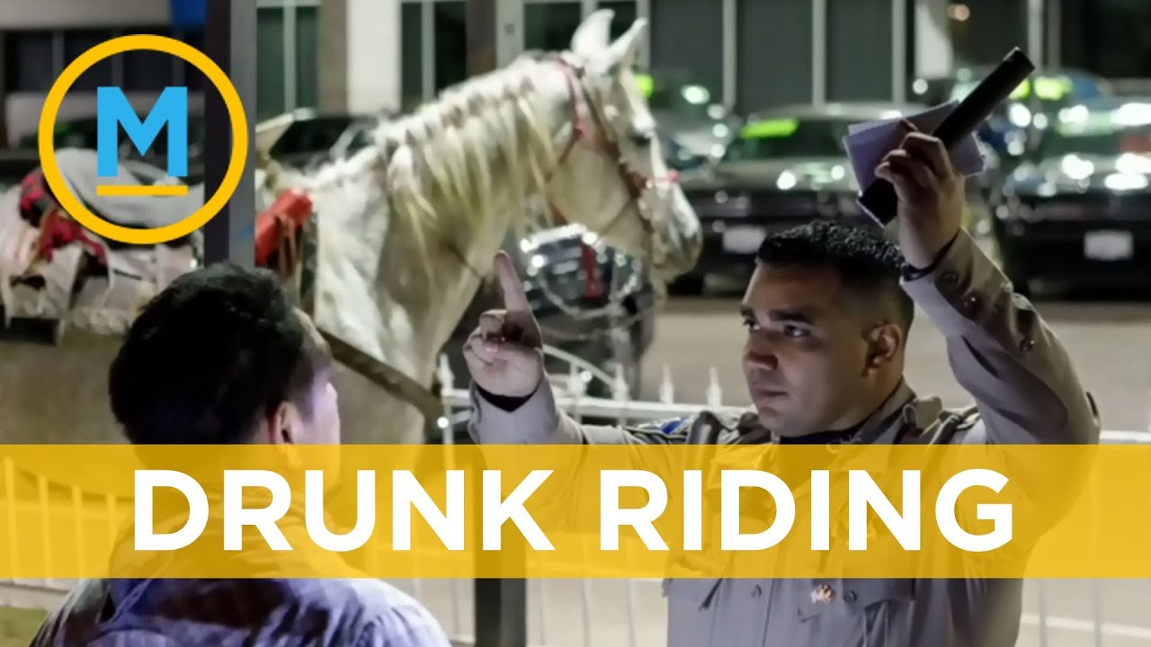 Man in California answers age-old question: Is it illegal to ride a horse drunk? | Your Morning - YouTube