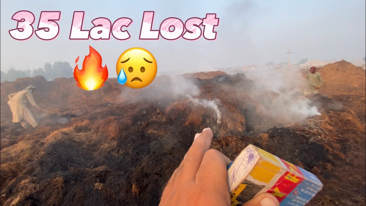 My Bricks 🧱 Company 🚜|| daily Routine 🔥¥ In My Village 🔥¥ 