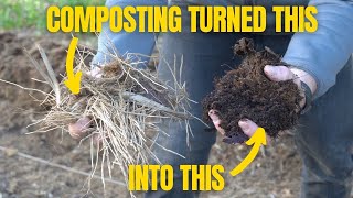 Will It Compost? - Palm Fronds