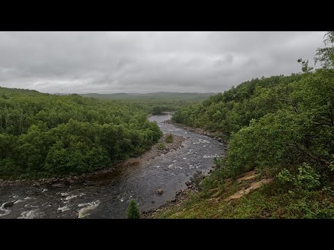 Видео: ДОЛГО ИСКАЛ И НАШЁЛ ЗОЛОТУЮ ЯМУ / I LOOKED FOR A LONG TIME AND FOUND A GOLD PIT