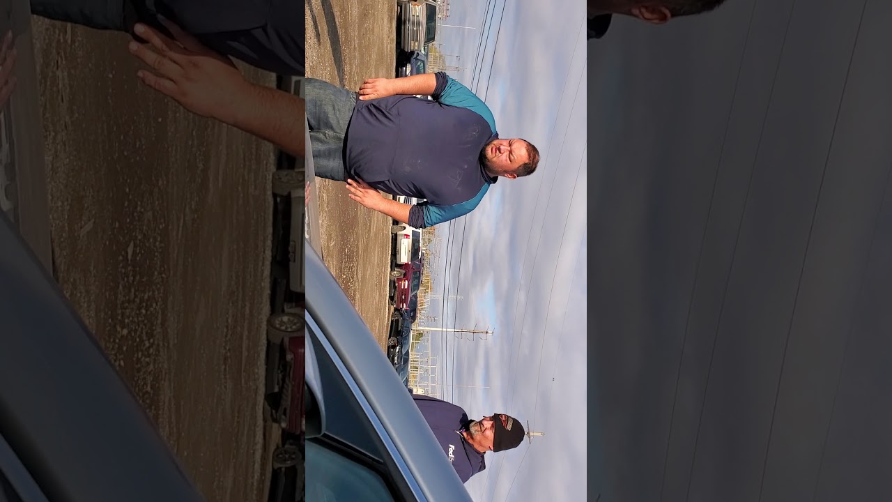 Detroit auto auction