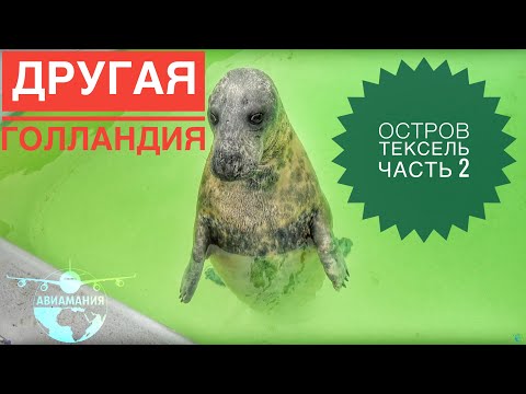 Бейне: Ағылшын Голландия сияқты ма?