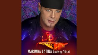 Nana (canciones populares españolas - marimba & voice) (feat. Katrine Druyts) - Ludwig Albert