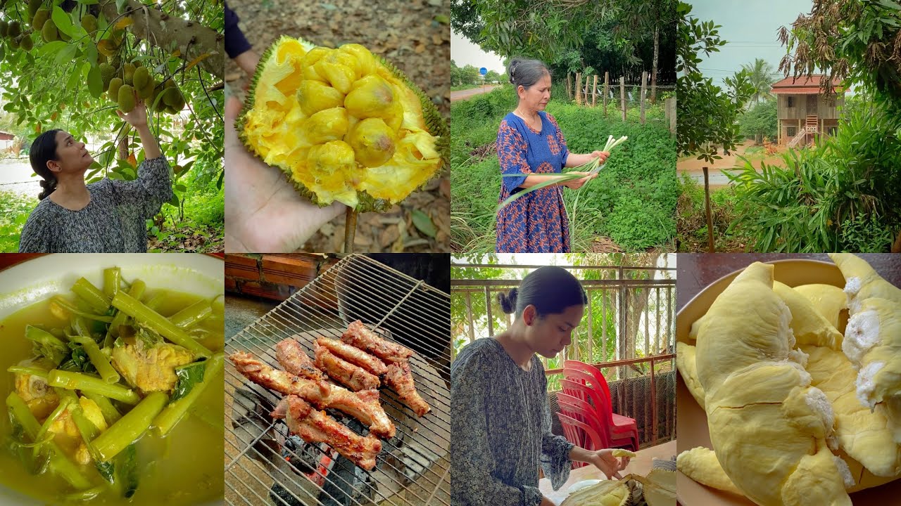 មកចំការប៉ានិងធ្វេីអីញុំាជុំគ្រួសារសប្បាយណាស់