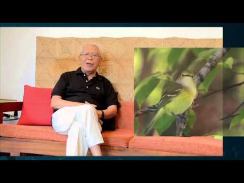 Video: Siapa Ahli Ornitologi Dan Apa Yang Dilakukannya