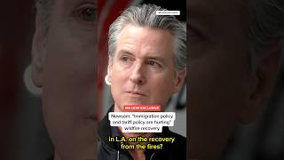 MS NOW EXCLUSIVE: Newsom – 'Immigration policy and tariff policy are hurting' wildfire recovery