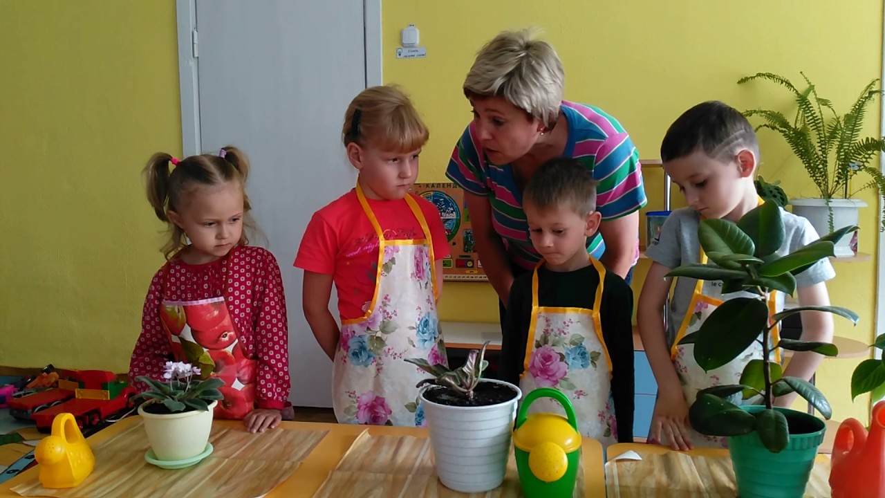 Уход за растениями в старшей группе. Дети в детском саду. Труд детей в детском саду. Труд детей в саду. Труд детей в природе в детском саду.