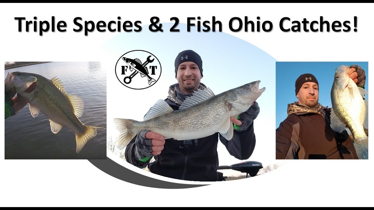 Caught 2 Fish Ohio! and 3 species on Buckeye Lake end of March 2019